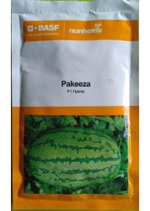 Pakeeza Watermelon